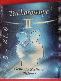 008   Gemini / Zwilling Blíženci